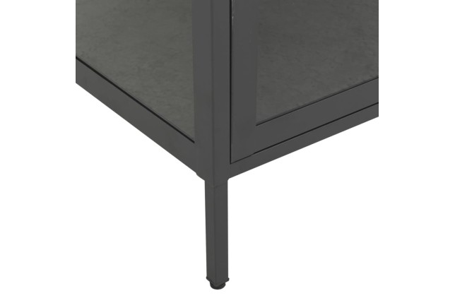 Vitrine d'exposition Anthracite 90x40x180 cm Acier/verre trempé