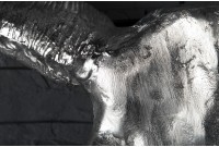 Trophée mural Crâne de taureau en aluminium argenté