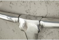 Trophée design Tête de taureau teinté argent