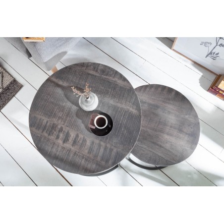 Table d'appoint ELEMENTS lot de 2 acacia gris