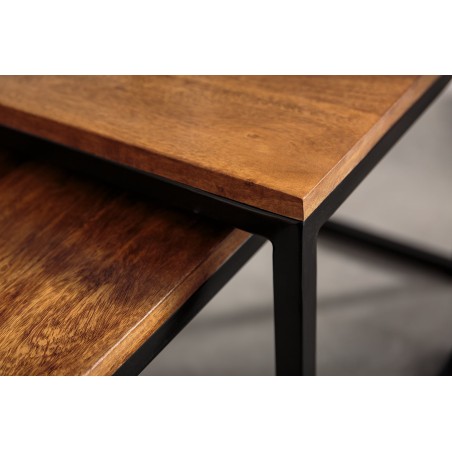 Set 2 Tables Basses ELEMENTS Sheesham Massif Naturel