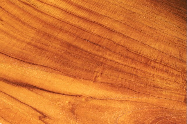 Banc ROOT 100cm Teck Brun Naturel - Fait Main
