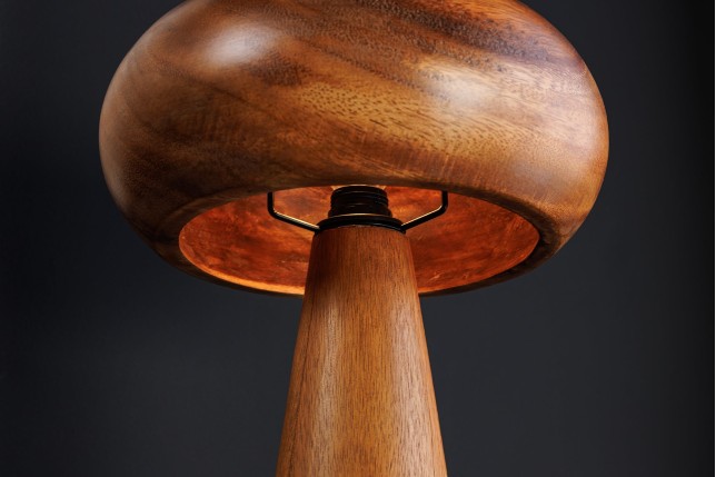 Lampe de table ALVA 40cm fer et acacia naturel
