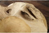 Corbeille de fruit design naturel de 40 cm en bois du teck massif
