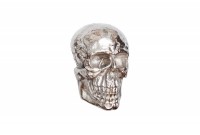 Sculpture murale design crâne humain en aluminium coloris argenté